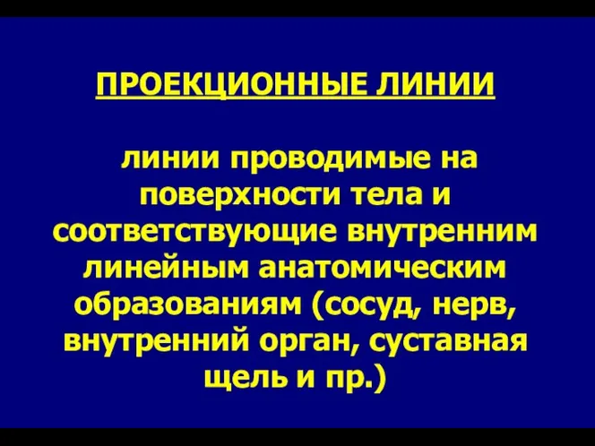 ПРОЕКЦИОННЫЕ ЛИНИИ линии проводимые на поверхности тела и соответствующие внутренним линейным