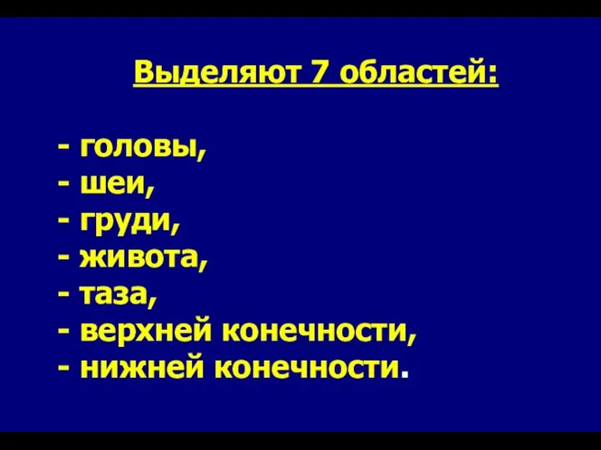 Выделяют 7 областей: - головы, - шеи, - груди, - живота,