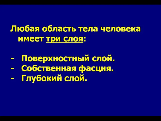 Любая область тела человека имеет три слоя: - Поверхностный слой. - Собственная фасция. - Глубокий слой.