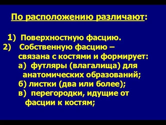 По расположению различают: 1) Поверхностную фасцию. Собственную фасцию – связана с