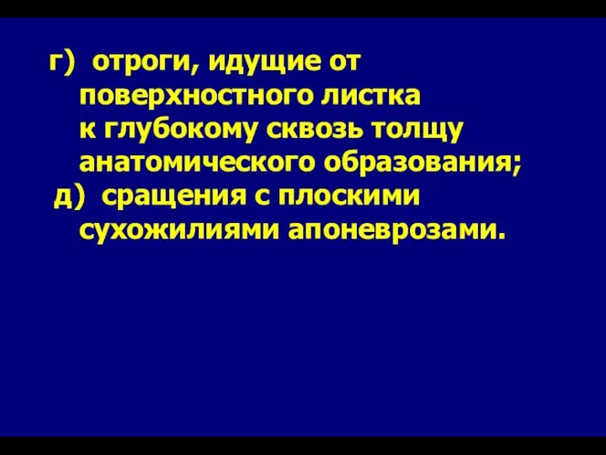 г) отроги, идущие от поверхностного листка к глубокому сквозь толщу анатомического