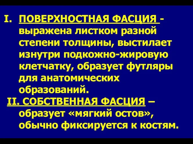 ПОВЕРХНОСТНАЯ ФАСЦИЯ - выражена листком разной степени толщины, выстилает изнутри подкожно-жировую