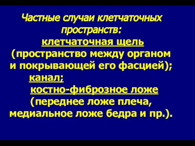 Частные случаи клетчаточных пространств: клетчаточная щель (пространство между органом и покрывающей