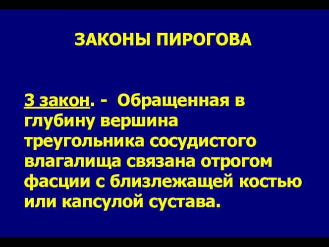 ЗАКОНЫ ПИРОГОВА 3 закон. - Обращенная в глубину вершина треугольника сосудистого