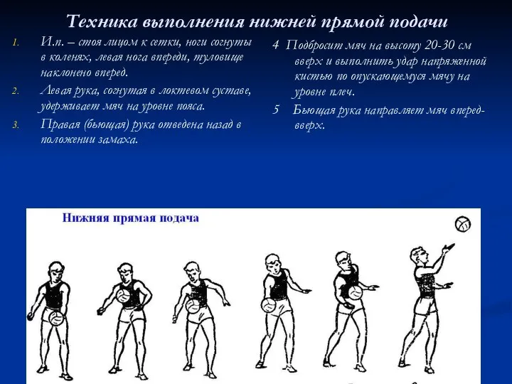 Техника выполнения нижней прямой подачи И.п. – стоя лицом к сетки,