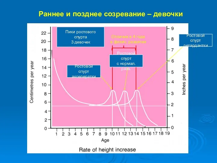 Раннее и позднее созревание – девочки 5 Пики ростового спурта 3