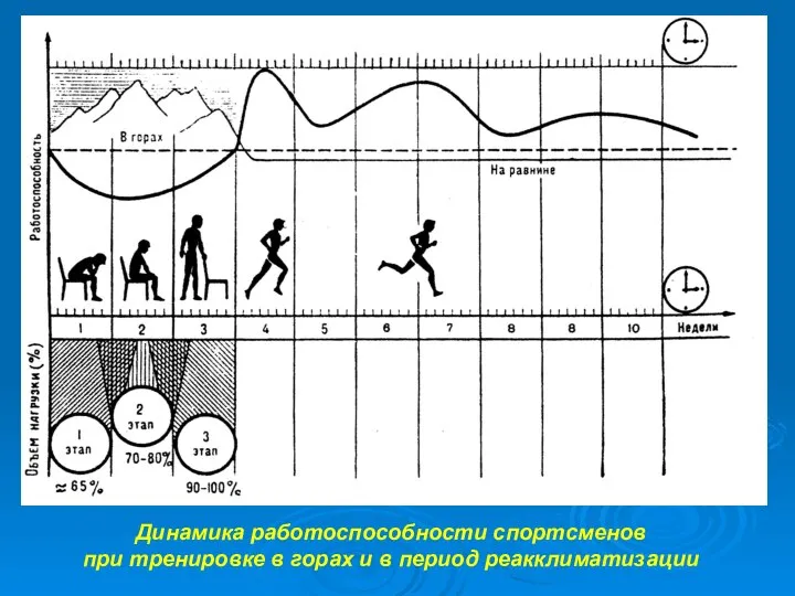 Динамика работоспособности спортсменов при тренировке в горах и в период реакклиматизации