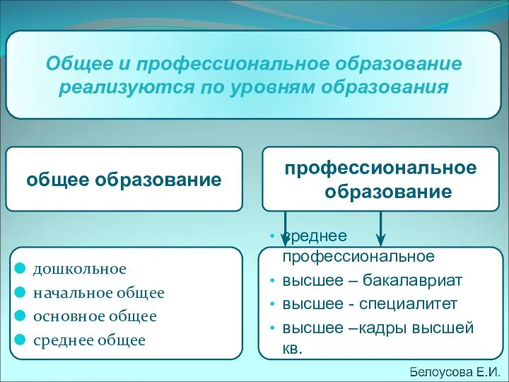 общее образование дошкольное начальное общее основное общее среднее общее профессиональное образование