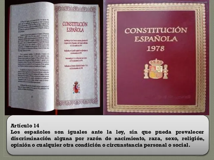 Artículo 14 Los españoles son iguales ante la ley, sin que