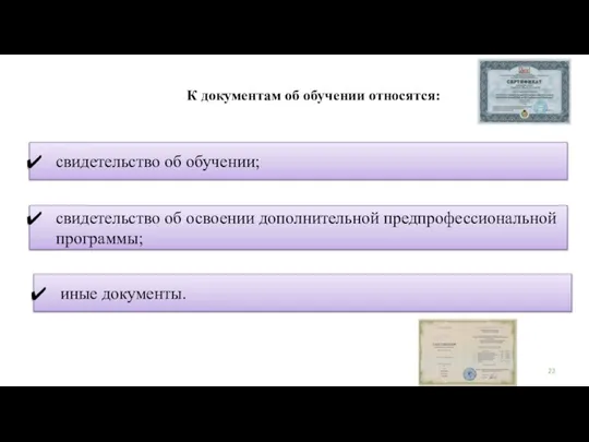 К документам об обучении относятся: свидетельство об обучении; свидетельство об освоении дополнительной предпрофессиональной программы; иные документы.