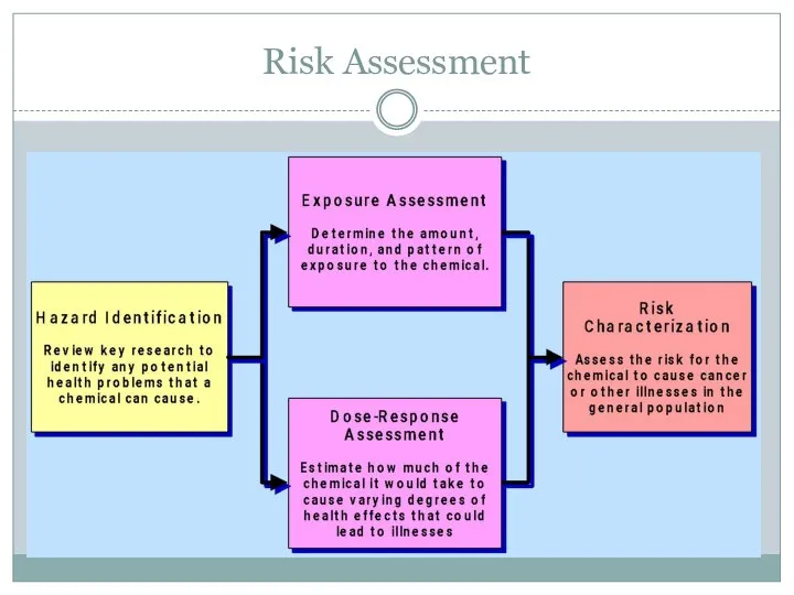 Risk Assessment