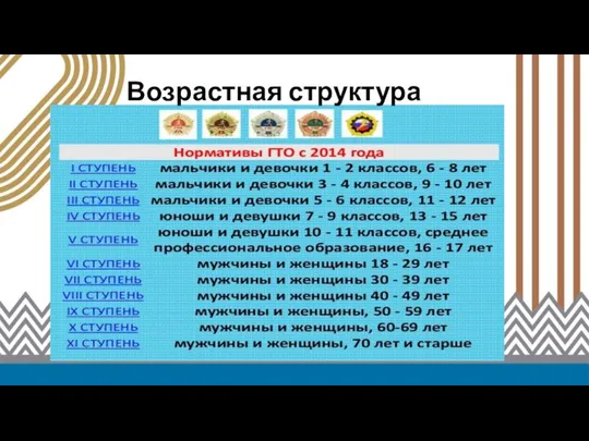 Министр спорта Российской Федерации В.Л. Мутко Возрастная структура