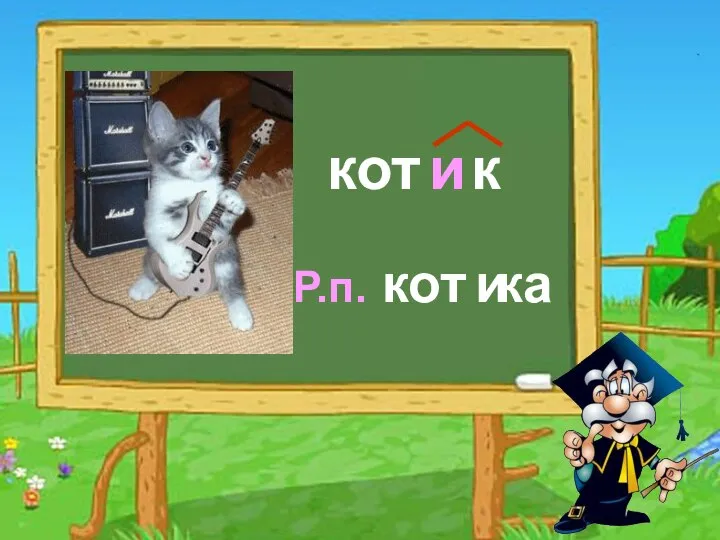 кот к Р.п. кот ка и и