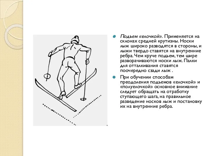 Подъем «елочкой». Применяется на склонах средней крутизны. Носки лыж широко разводятся