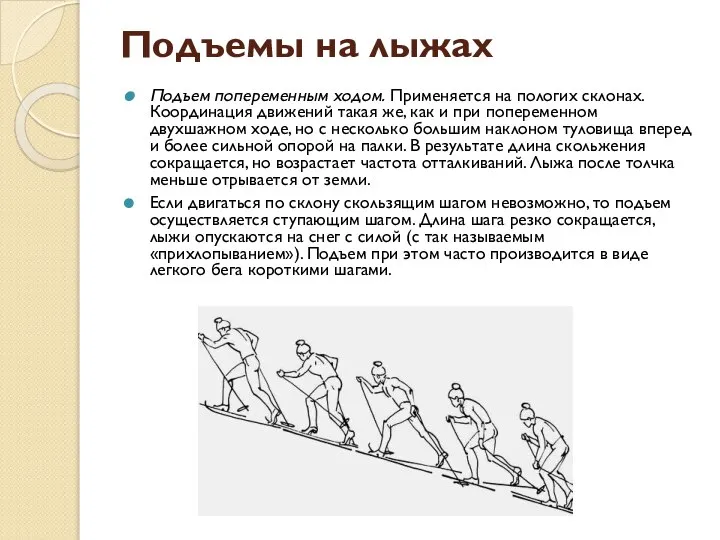 Подъемы на лыжах Подъем попеременным ходом. Применяется на пологих склонах. Координация