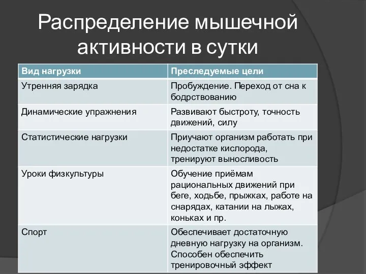 Распределение мышечной активности в сутки