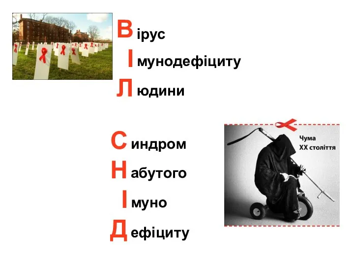 С Н І Д индром абутого муно ефіциту В І Л ірус мунодефіциту юдини