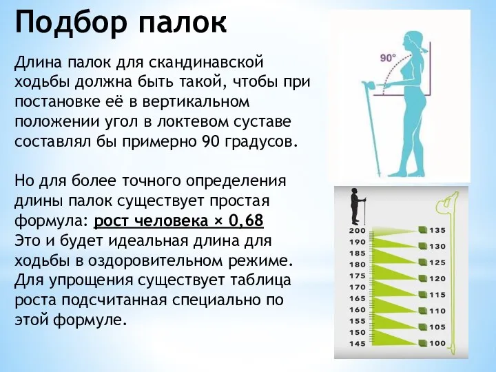 Подбор палок Длина палок для скандинавской ходьбы должна быть такой, чтобы