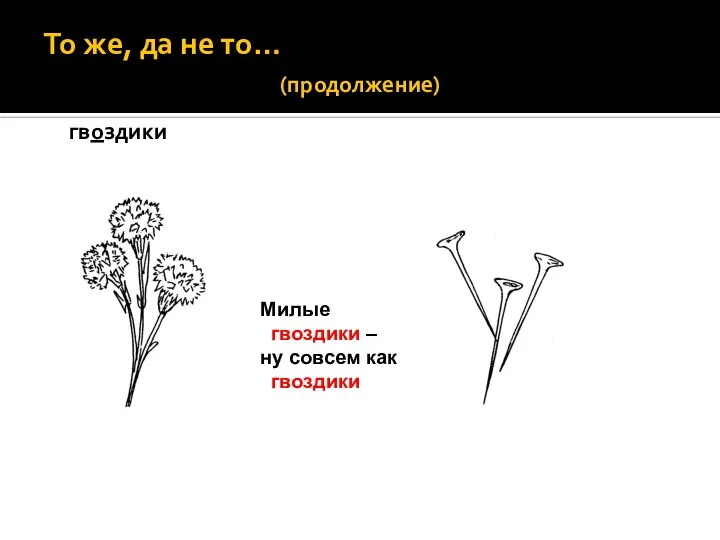 То же, да не то… (продолжение) гвоздики Милые гвоздики – ну совсем как гвоздики