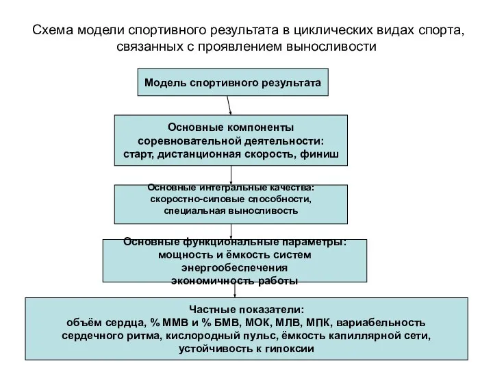 Схема модели спортивного результата в циклических видах спорта, связанных с проявлением