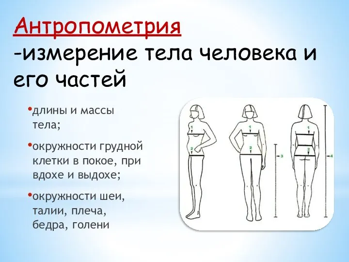 Антропометрия -измерение тела человека и его частей длины и массы тела;