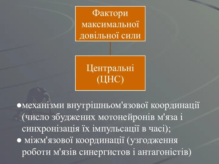 механізми внутрішньом'язової координації (число збуджених мотонейронів м'яза і синхронізація їх імпульсації