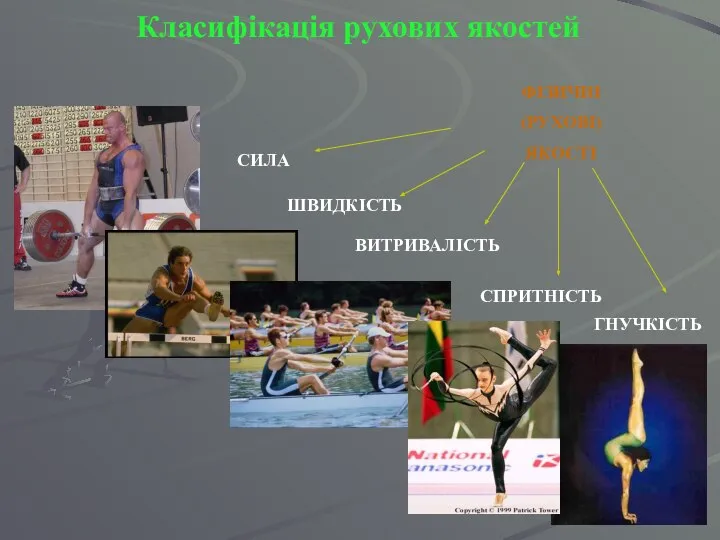 Класифікація рухових якостей ФІЗИЧНІ (РУХОВІ) ЯКОСТІ СИЛА ШВИДКІСТЬ ВИТРИВАЛІСТЬ СПРИТНІСТЬ ГНУЧКІСТЬ