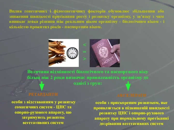 Вплив генетичних і філогенетичних факторів обумовлює збільшення або зниження швидкості протікання