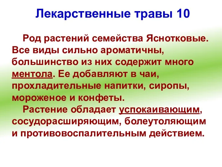 Лекарственные травы 10 Род растений семейства Яснотковые. Все виды сильно ароматичны,