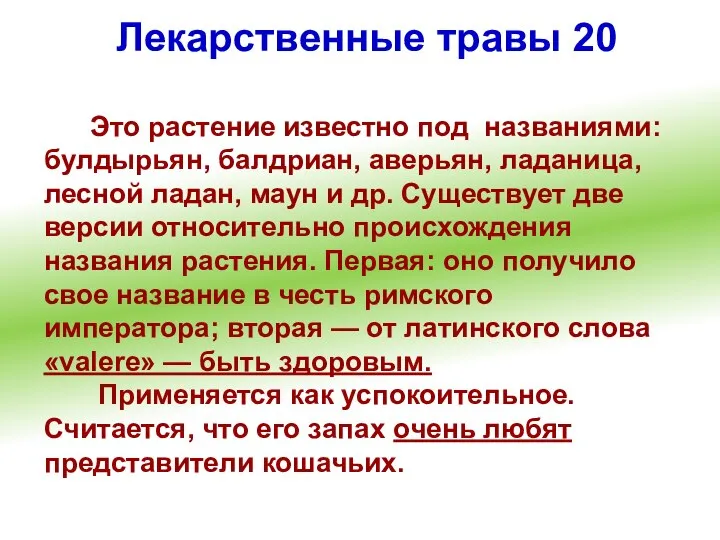 Лекарственные травы 20 Это растение известно под названиями: булдырьян, балдриан, аверьян,