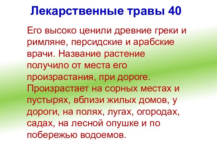 Лекарственные травы 40 Его высоко ценили древние греки и римляне, персидские