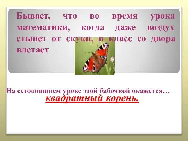 квадратный корень. Бывает, что во время урока математики, когда даже воздух