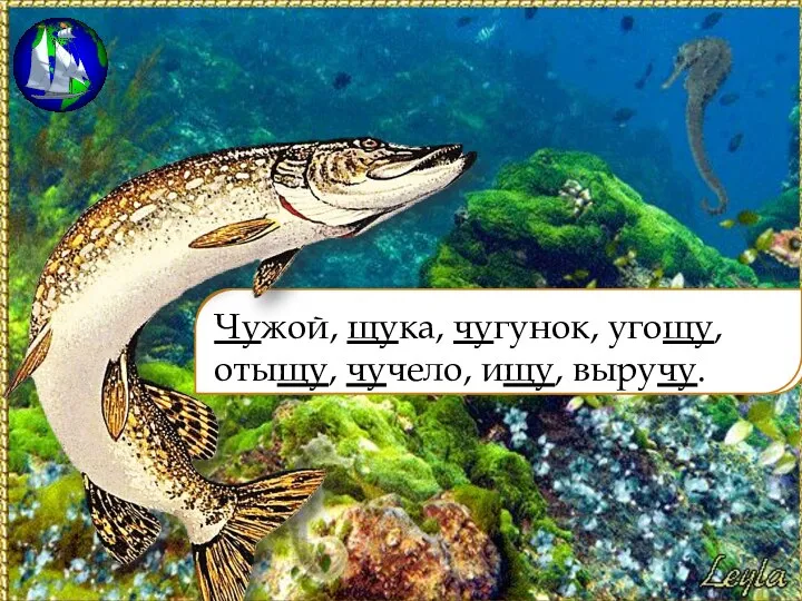 Жойчу, кащу, гучунок, щууго, ощуты, чечуло, щуи, чувыру. Чужой, щука, чугунок, угощу, отыщу, чучело, ищу, выручу.