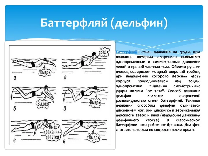 Баттерфляй (дельфин) Баттерфляй - стиль плавания на груди, при плавании которым