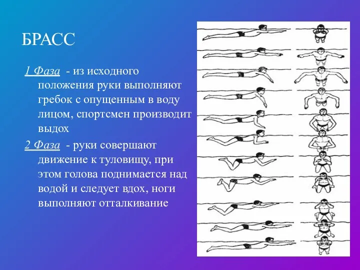 БРАСС 1 Фаза - из исходного положения руки выполняют гребок с