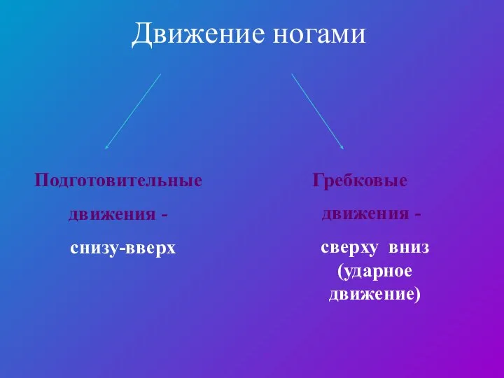 Движение ногами Подготовительные движения - снизу-вверх Гребковые движения - сверху вниз (ударное движение)