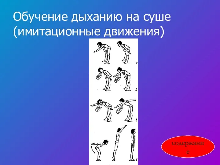 Обучение дыханию на суше (имитационные движения) содержание