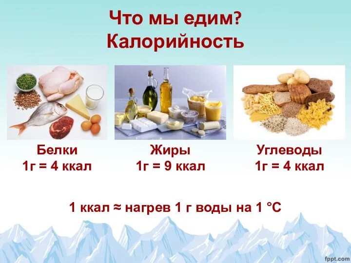 Что мы едим? Калорийность Белки 1г = 4 ккал Жиры 1г