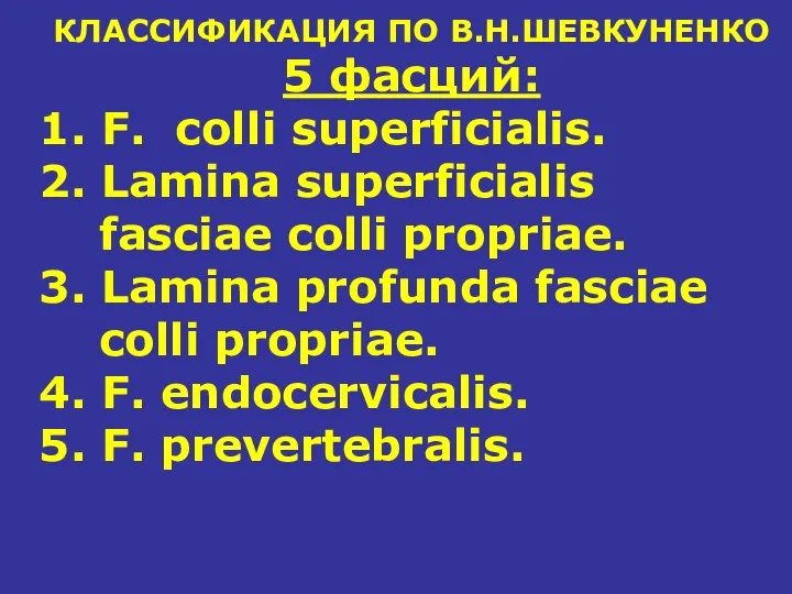 КЛАССИФИКАЦИЯ ПО В.Н.ШЕВКУНЕНКО 5 фасций: 1. F. colli superficialis. 2. Lamina