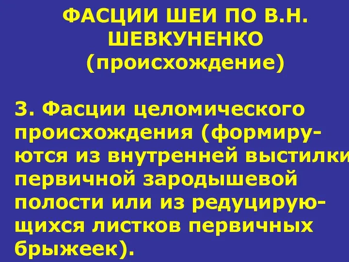 ФАСЦИИ ШЕИ ПО В.Н.ШЕВКУНЕНКО (происхождение) 3. Фасции целомического происхождения (формиру-ются из