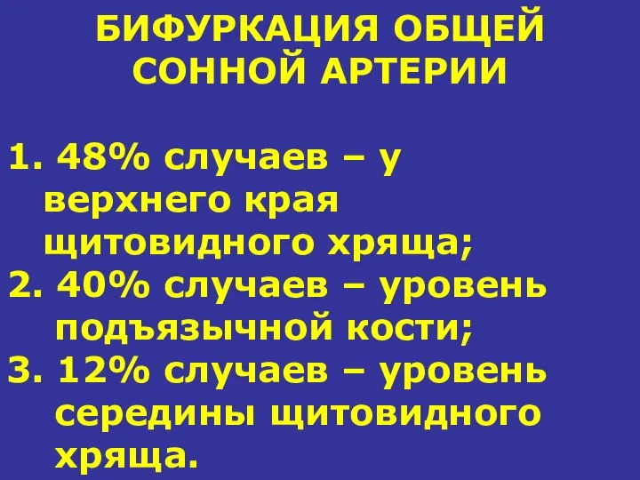 БИФУРКАЦИЯ ОБЩЕЙ СОННОЙ АРТЕРИИ 1. 48% случаев – у верхнего края