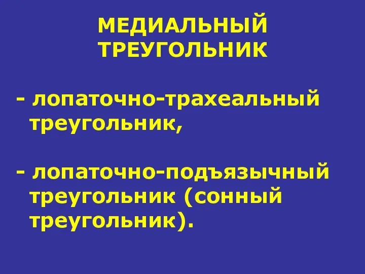 МЕДИАЛЬНЫЙ ТРЕУГОЛЬНИК - лопаточно-трахеальный треугольник, - лопаточно-подъязычный треугольник (сонный треугольник).