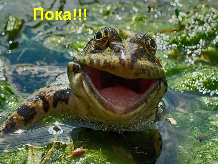 Пока!!!