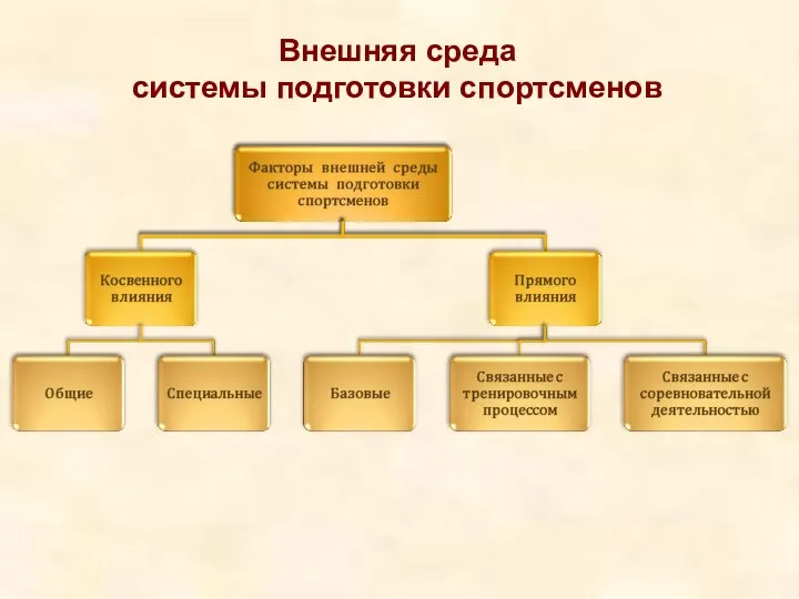 Внешняя среда системы подготовки спортсменов