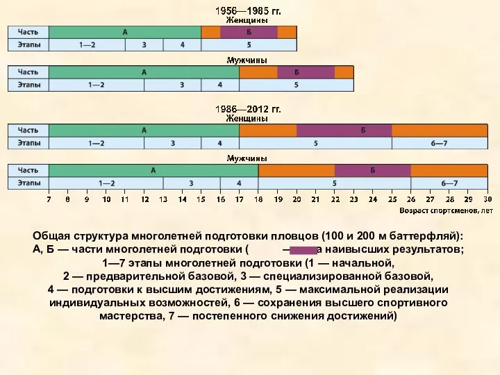 Общая структура многолетней подготовки пловцов (100 и 200 м баттерфляй): А,