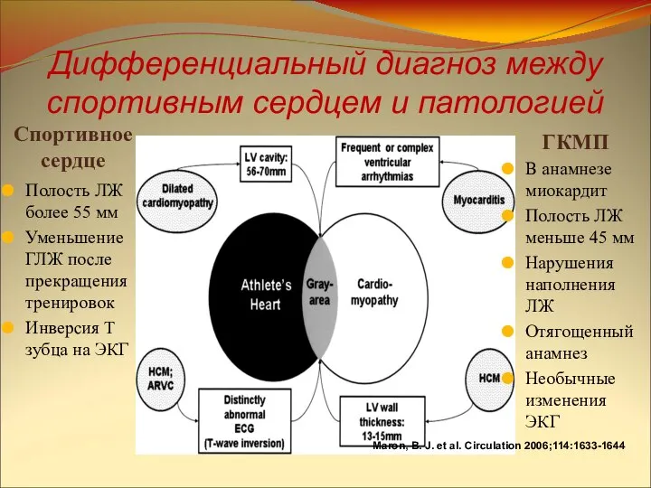 Maron, B. J. et al. Circulation 2006;114:1633-1644 Дифференциальный диагноз между спортивным