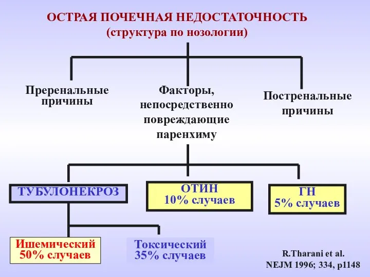 R.Tharani et al. NEJM 1996; 334, p1148 ОСТРАЯ ПОЧЕЧНАЯ НЕДОСТАТОЧНОСТЬ (cтруктура