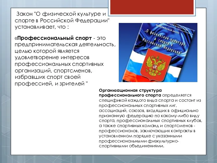 «Профессиональный спорт - это предпринимательская деятельность, целью которой является удовлетворение интересов