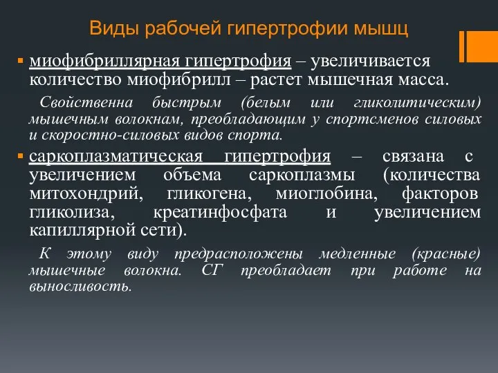 Виды рабочей гипертрофии мышц миофибриллярная гипертрофия – увеличивается количество миофибрилл –