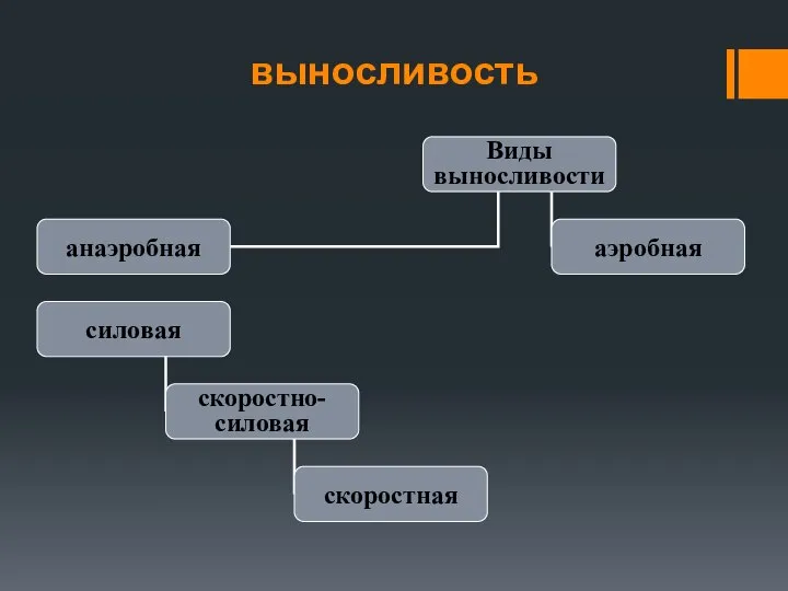 выносливость